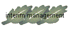 interim management