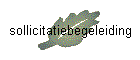 sollicitatiebegeleiding