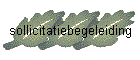sollicitatiebegeleiding